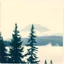Placeholder: A polaroid photo of a group of fir trees in the background and a high hill in the distance. A lake. The surface below is in a pastel color. Fog is present.