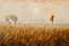 Placeholder: wheat field