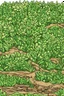 Placeholder: plant trees