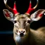 Placeholder: a rendeer with red nose