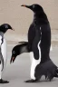 Placeholder: young black hair woman talk to a penguin in coffee-shop