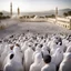 Placeholder: Muslims Pilgrimage.