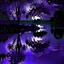 Placeholder: beautiful nighttime water mirrored dark purple