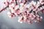 Placeholder: fantastic light pin gray background with four bunches of cherry blossoms on blurred background