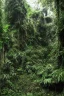 Placeholder: Ancient jungle ,ruins