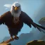 Placeholder: eagle man hybrid pirate