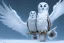 Placeholder: KNIGHTWING snow OWL FALCON