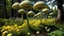 Placeholder: alien woodland trees looking like mushrooms with multi stemmed dandelions