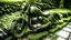 Placeholder: ovrgrwth, a motorcycle covered in moss sitting on a sidewalk <lora:ovrgrwth-sdxl:1>