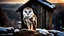 Placeholder: a barn owl sitting an old ruined rooftop and looking to te camera, over a winter landscacpe with european forest , little light, sunrise, one old ruined small hut from stands above, high detailed, sharp focuses, photorealistic, perspective, cinematic