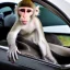 Placeholder: Monkey driving Porsche