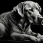 Placeholder: a black and white 3D image of a light brown labrador lying down, surreal and otherworldly, intricate linework, mind-bending composition, intricate patterns in the fur,masterful use of light and shadow,masterful use of light and shadow,masterful use of light and shadow, dreamlike quality, detailed linework akin to Moebius, intricate details, vibrant and contrasting colors, Artstation for showcasing.