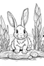 Placeholder: cute coloring page, sketch style, cute baby rabbit in the wood, cartoon, white and black, withe background, no shadows, outline.