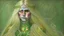 Placeholder: A woman who had green eyes and long blond hair that she wore in elaborate coiffures. Being known as someone at the height of fashion, prior to her disappearance, she favored wearing green and golden outfits to match her physical features.