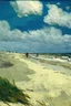 Placeholder: beach by Van Gogh