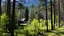 Placeholder: A wooded landscape taking place in Europe during summer. There is a building and a fence.