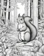 Placeholder: A captivating coloring book scene featuring an squirrel in the forest