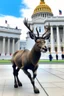 Placeholder: A reindeer standing in front of congress