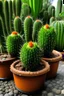 Placeholder: cactus con musculos