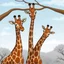 Placeholder: Among giraffes, there's more same-sex than opposite-sex activity. In fact, studies say gay sex accounts for more than 90 percent of all observed sexual activity in giraffes. And they don't just get straight to business. gay cartoon