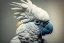 Placeholder: Portrait of an angry cockatoo whose generations are all gone.