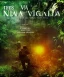 Placeholder: vietnam war. jungle. cd cover. bokeh. lens flare. warm lights. high detailed