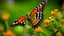 Placeholder: A close-up shot features a butterfly perched atop a cluster of flowers, set against a soft, blurred background. The butterfly has a striking pattern of orange and black spots on its wings, which are slightly open, revealing the intricate details of its structure. Its body is dark, and its antennae are thin and delicate. The flowers are a mix of yellow and green, with small, rounded petals. They are clustered together, creating a dense and textured surface for the butterfly to rest on. The stems