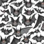 Placeholder: bats