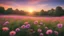 Placeholder: Natural view cosmos filed and sunset on garden background