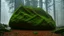 Placeholder: Large boulder in a clearing in the forest