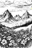 Placeholder: Flowers surrounded by mountains in the High Tatras, under Kriváň mountain, Slovakia, sketch drawing