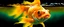 Placeholder: ultra high image quality, Close-up of a goldfish resembling liquid gold, fins rippling like molten metal, set against AMOLED-worthy pure black backdrop, fantasy art style infused with a golden filter, tailored for vertical wallpaper, exclusive design with no duplicates, radiating beauty suitable for a PC screen image, vivid colors, ultra fine, digital painting.