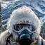 Placeholder: Yeti in an elastomeric respirator, Kananaskis Country