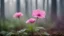 Placeholder: mini pink flower in the forest, fog,low light, close-up, blurred background