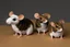 Placeholder: pulp-fiction taxidermy mice