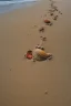 Placeholder: Human footprints and shells scattered in the sand on the beach Hyper realistic, oil on canvas award winning fantastic view ultra detailed acrylic art Ultra realistic Impressionism Surrealism simen johan, sharp focus intricate oil on canvas cinematic lighting photorealistic high detail ultra detailed crisp quality colourful in sunshine