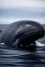 Placeholder: Bowhead whale