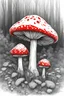 Placeholder: Draw a Fly Agaric mushroom. The lines should be thick and clear, without any shading, solid black or fine detail lines.