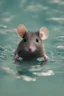 Placeholder: swimming mouse