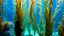 Placeholder: Kelp Forest at the Monterey Bay Aquarium,California