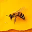 Placeholder: honey, bee, honeycomb, parchment, abstract background