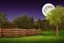 Placeholder: Dry trees, night, full moon, cabin, yard with flowers, fence, background pc