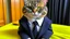 Placeholder: cat in a suit