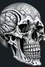 Placeholder: greek sculpture styled human skull illustration