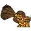 Placeholder: Mandarin Fish Installation, Same Color Family, 3d Textures