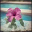 Placeholder: petunia in a swimming pool, old damaged polaroid, sunny day, vivid colors, bokeh effect
