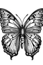 Placeholder: un mariposa en blanco y negro para colorear con 4 colores