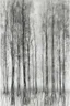 Placeholder: Minimalist rough abstract dusty Charcoal drawing of trees on a textured gesso background.