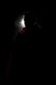 Placeholder: shadow of vampire at night