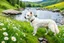 Placeholder: a lovely white dog in country side in green field flowers next to a river with clear water an small rocks in its floor